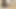 Midilli mia Malkova ve natasha Malkova kedi lanet ve cum!