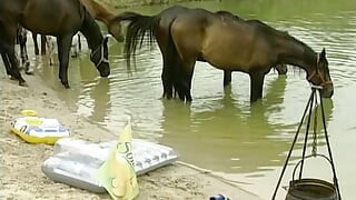 Đi tiểu ngoài trời