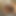 デカくて硬いペニスのための2人のふしだらな女