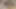 Making dick wet with cum 💦