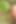 Seksi oğlan rohit sert seks videosu