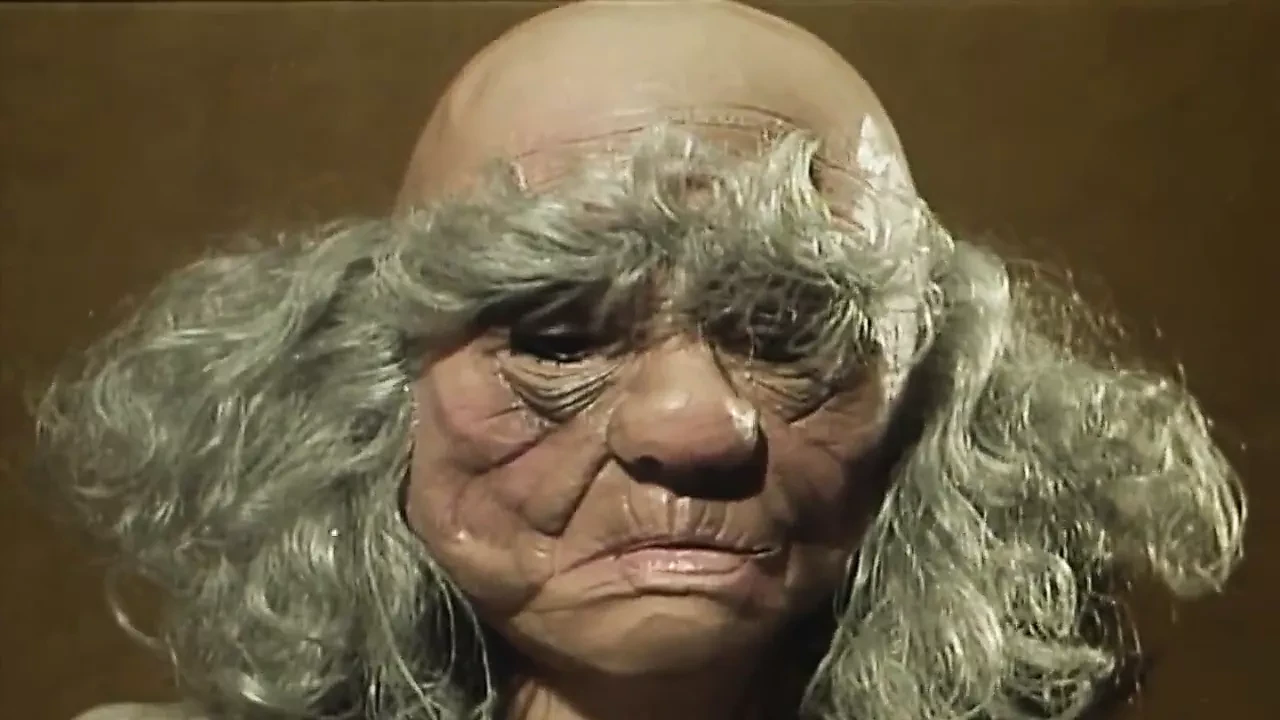 Une hotesse tres speciale (1979)