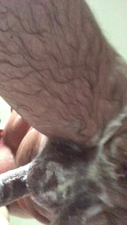 Anal Plug