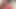 赤毛誰でも彼女の名前を知っていますか？