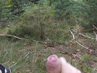 So habe ich beim Laufen im Wald gespielt