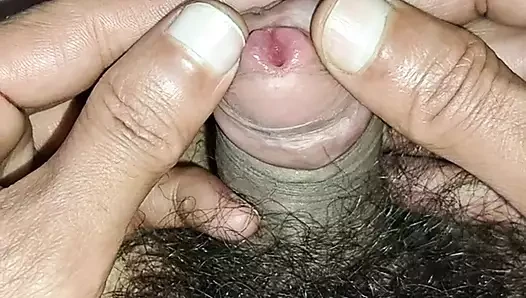 Bengal boy blowjob free sex video