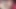 Komm nicht, bis ich sage - Squelchy POV Lotion Handjob mit Suzu Yamai (idol-gesicht, Edging besessen, Control Freak ... kleiner balz).