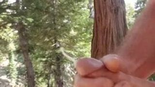 Masturbándose en el bosque
