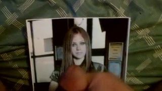 Трибьют спермы для Avril Lavigne