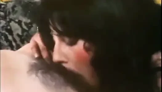 Klasik porno dvd'leri plato'nun geri çekilmesi batı bölüm 1
