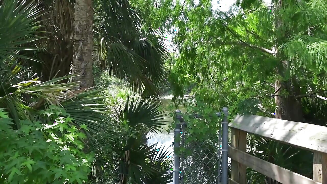 Bts Nature Walk and Masturbation on Trail