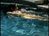 Pratinjau video