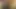 Personal session with finger deep in my asshole until I cum