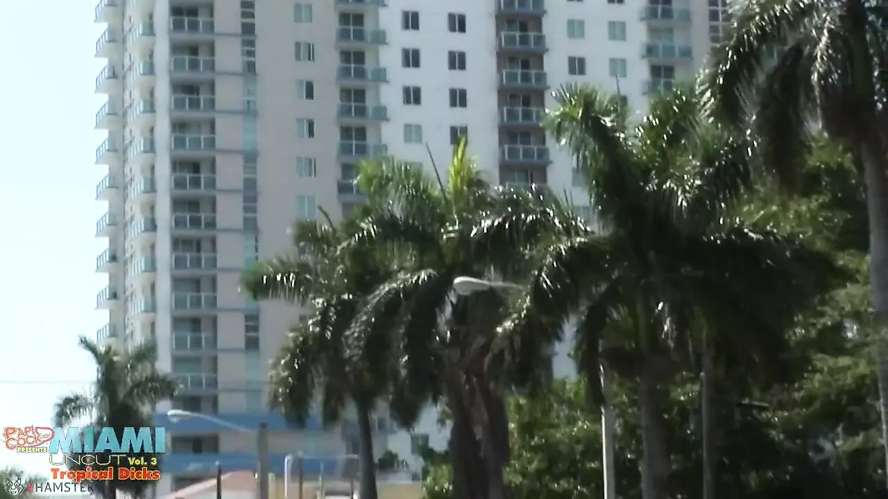 Miami Uncut #3 - Tropical Dicks Scene 4 - Baby Aguilar and Speedy Jay