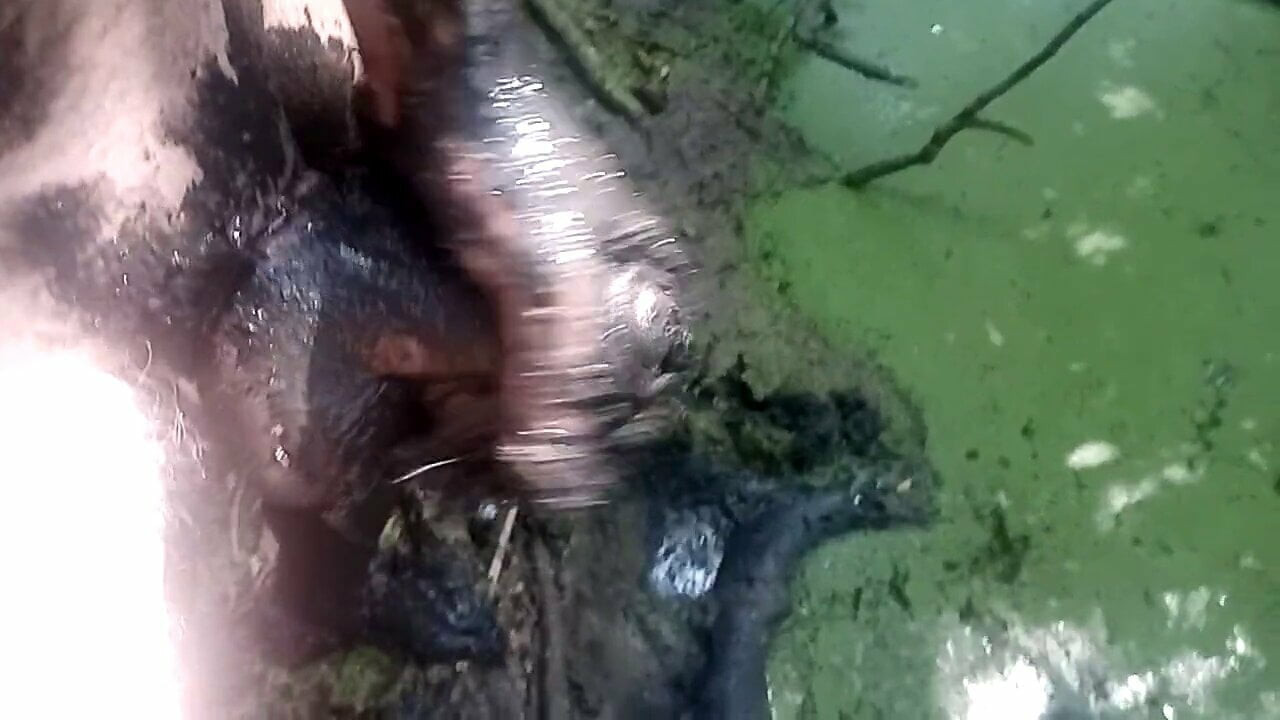 Mud 2