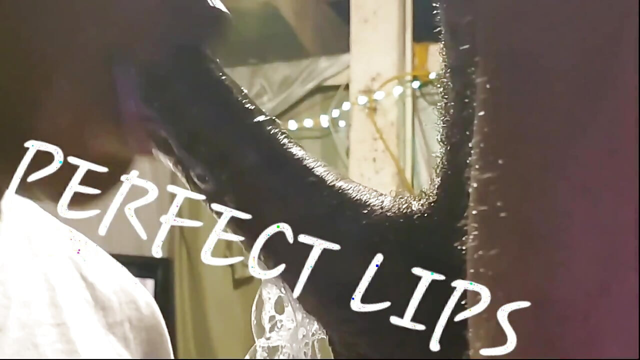 Perfect Lips Made Him Bust a Hard Nut! From Her Sloppily Deepthroating His Dick