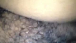 Anal peludo