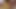 auf den fuss gewixxt.mp4