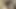 Kirli kokarca alır bir sıcak Creampie içinde ona kıllı kedi