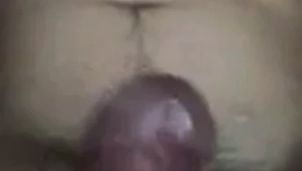penis