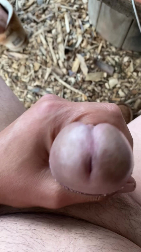 Cock jerking