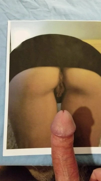 另一个对jackinchat蜂蜜的致敬