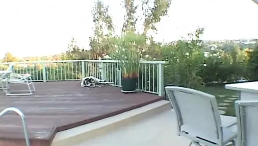 Zwei geile reden, wie man einen großen harten schwanz lutscht