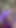 Maddie X sucking cock in the woods