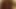 Sucking BBC from grindr 2