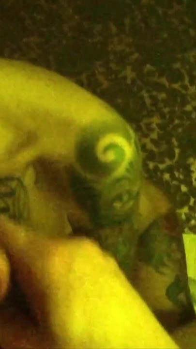 Stunning moment from "Real German Hooker Sucks Old Client's Cock in POV Iphone Porn"