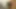 Blonde hure gibt blowjob