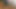 BBW, Poll-Tanz