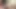 I couldn’t control myself when I got inside this femboys fat jiggly ass (Fansly thustin69) (only fans thustin69)