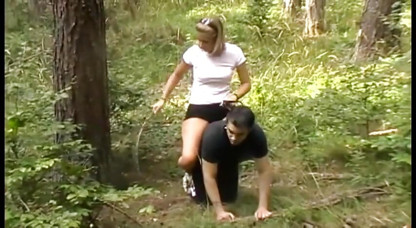 Dağlarda iyi bir midilli oyunu