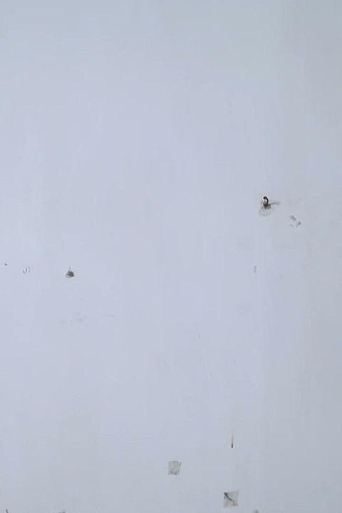 Please Don't Tell My Husband! Desi Bhabhi Sex