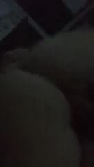 Devojka sa strancem