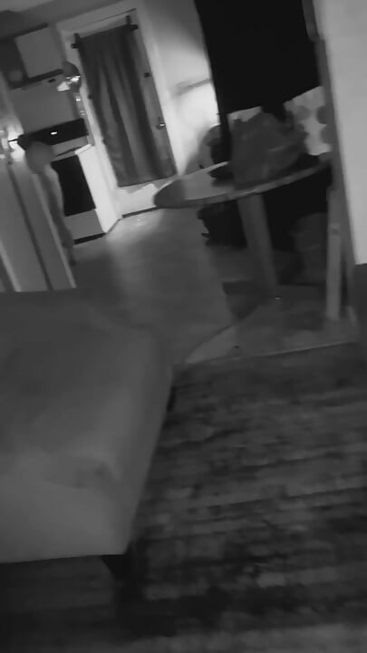 From The Kitchen To The Couch