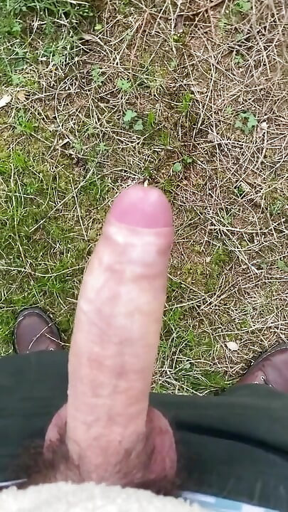 Χύστε στο δάσος