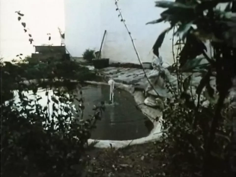 The Iron Commissioner (1979)