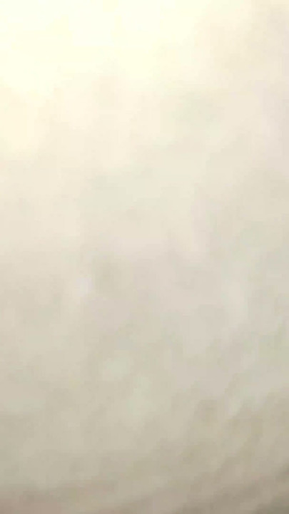 Desi bhabhi ki chut mari desi paua pekar bhut maza aaya | Clip 1