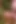 British Teen Girlfriend Takes Anal and Takes Cum Over Her Body
