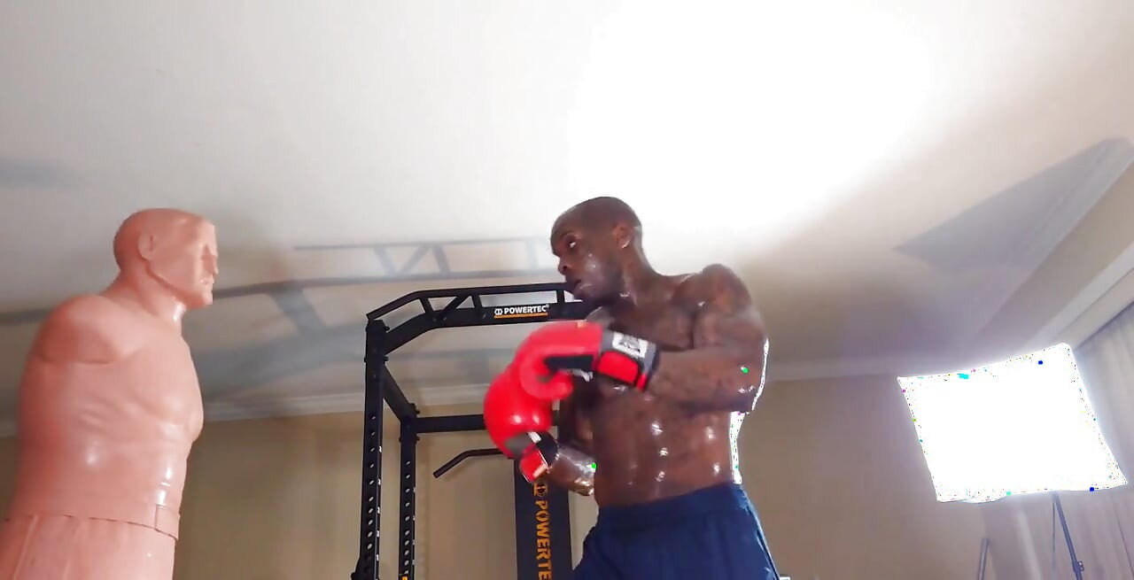 Boxing Workout the Core Is Defined by the Structures That Make up the Lumbo-pelvic-hip Complex (lphc) and Includes the Global an