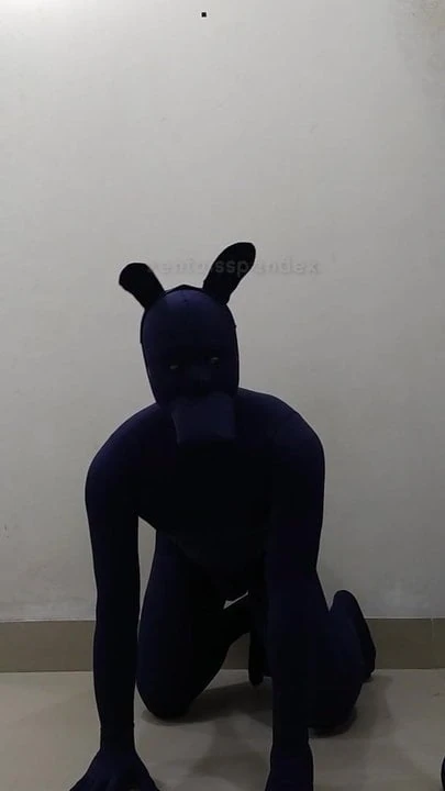 Zentai dog suit femdom puppy slave