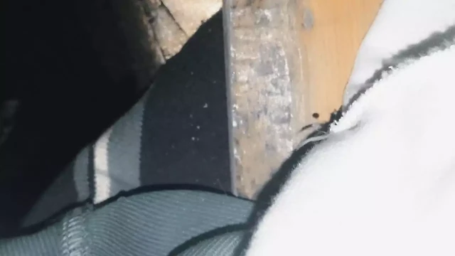 colombian porn you want to see my big thick big penis for you
