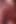 Promiscuous babe gives rim job and takes deep drilling in dude's house