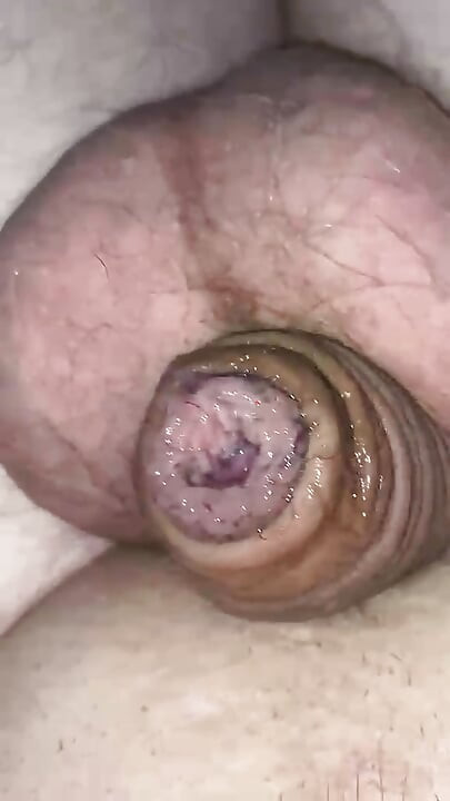 Small Tiny Uncut Dick Leaking Precum Shaven And Tiny