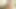 Hot Amateur Black Lesbians Twerking and Eating Wet Black Pussy
