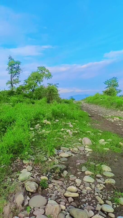 Mosam in the best scene