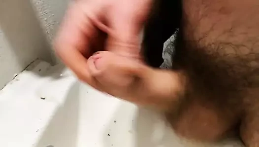 Bolca döl