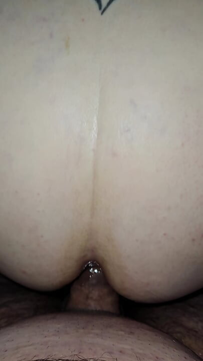 Anal Creampie